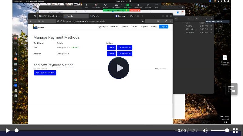 Click to play ParkEz demo 2.